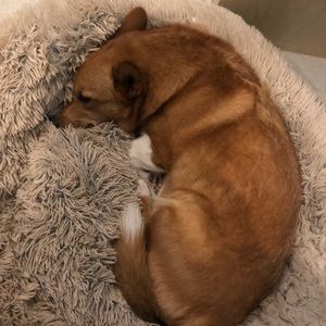 Meet your Posher, Kenny